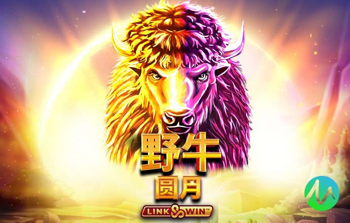 澳门新莆京8513