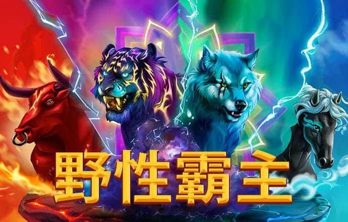 华体汇